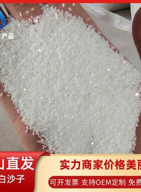 白沙子雪花白园林工程日式枯山水造景装饰草坪填充用白色石英砂