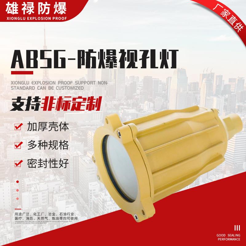 ABSg-防爆视孔灯 防爆LED视孔灯 24v36v220v大功率防爆视镜灯