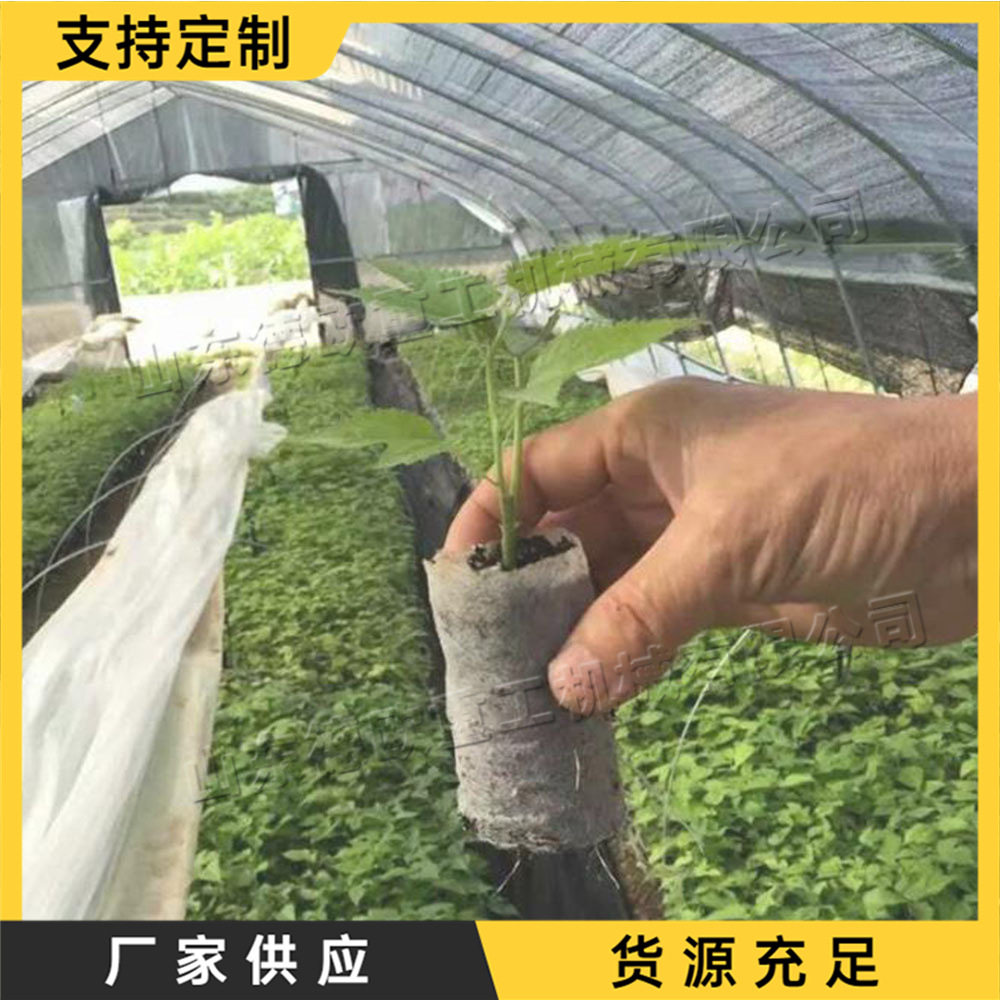 无纺布营养钵网袋容器成型育苗机全自动轻基卧式营养块成型机