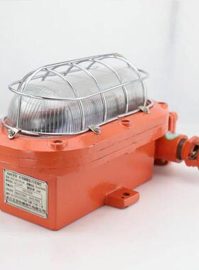 DGC24/127L(A)矿用隔爆LED支架灯18W20W22W24W