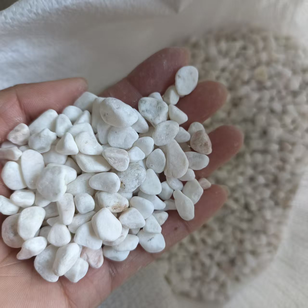批发白石子庭院造景鱼缸卵石小石头颗粒养花多肉盆栽装饰铺面石