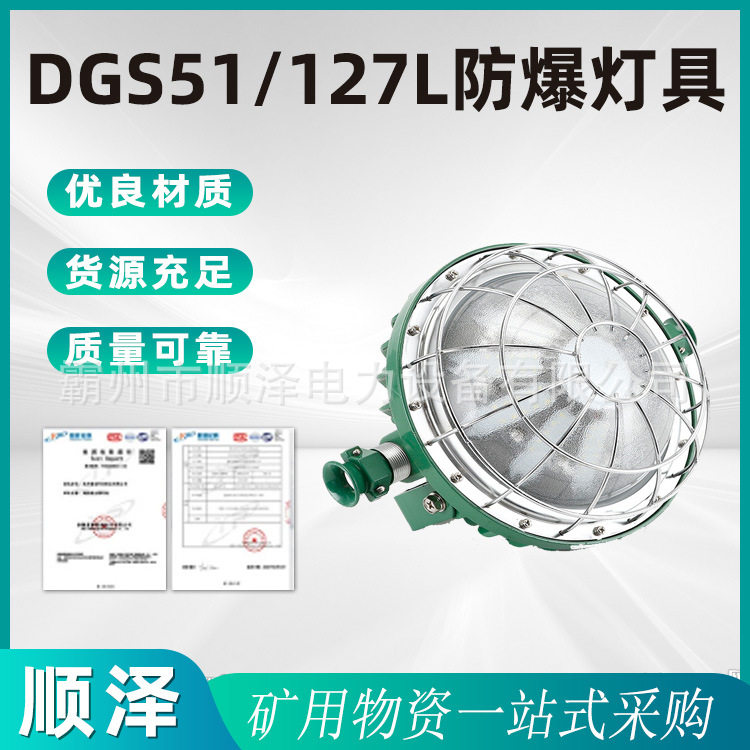 DGS51/127L防爆灯具LED泛光灯固定工业厂区投光灯石油化工应急灯
