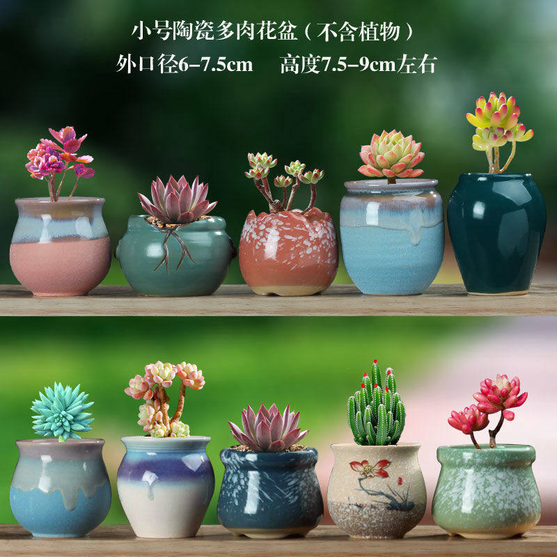 新疆包邮韩式手绘多肉花盆 带脚透气粗陶桃蛋盆小号陶罐多肉植物