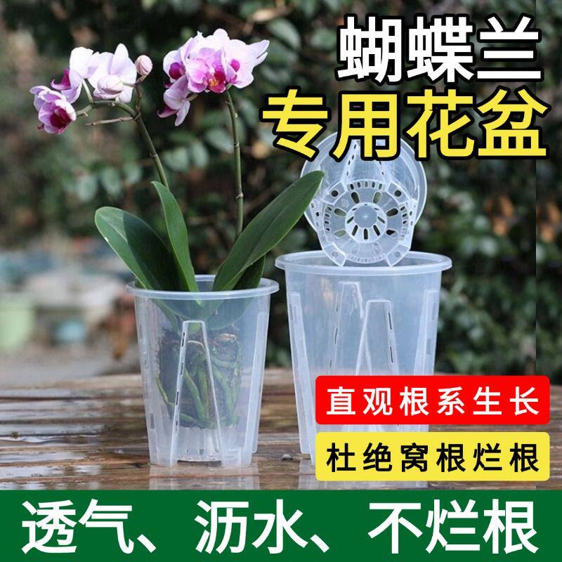 新疆西藏包邮蝴蝶兰专用花盆通风透气镂空加厚家用花盆透明青山控
