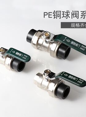 2JGBPE双头活接铜球阀单内丝单外丝球阀开关阀门水管材热熔配件20