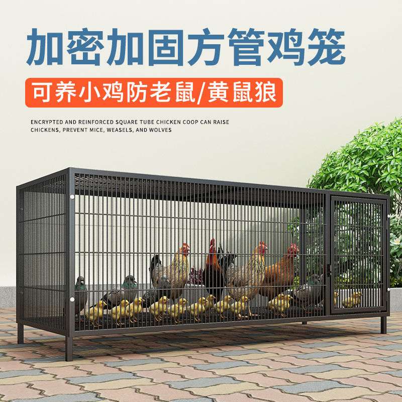 鸡笼养鸡家用子加粗大号养殖笼折叠鸭笼鹅笼狗笼自动滚蛋厂家直发