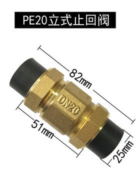 SW1CPE202532405063卧式止回阀单向阀防倒流阀逆止阀黑色立式