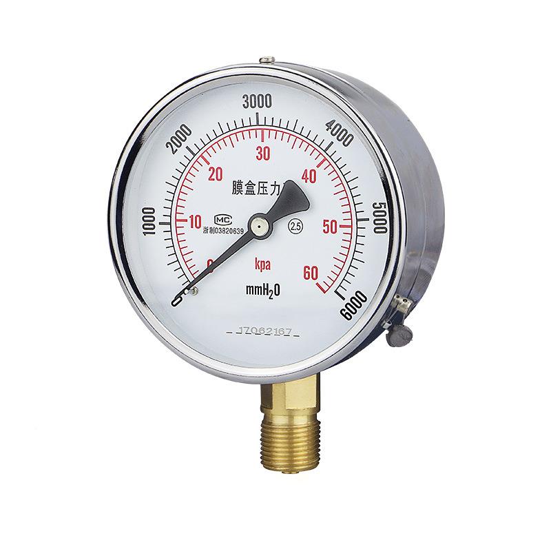 膜盒压力表 压耐膜盒压力表 微压力力震表YE-100不锈钢膜盒压表