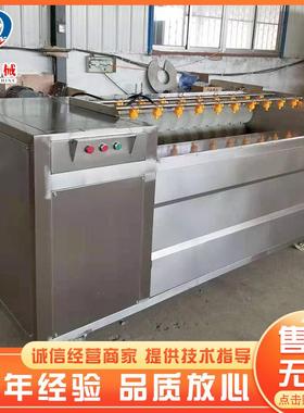 药猕猴桃辊清洗机QEP 山豆清洗机 洗桔梗去皮清设备 田螺清洗毛机