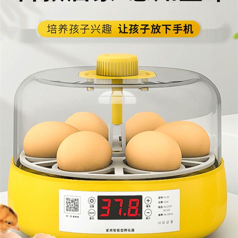 孵蛋器小型家用智能儿童玩具孵化器小鸡孵化机全自动芦丁鸡孵化箱