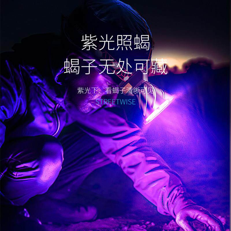 德国照蝎子395紫光灯强光感应头灯头戴式手电筒户外超亮可充电