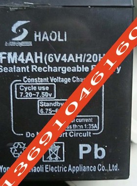 HAOLI蓄电池 3FM4AH 6V4AH/20HR 玩具车 童车 电子称 电灯用电瓶