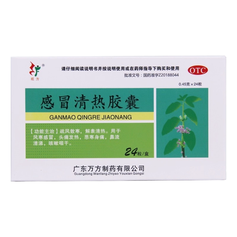 【旺方】感冒清热胶囊0.45g*24粒/盒