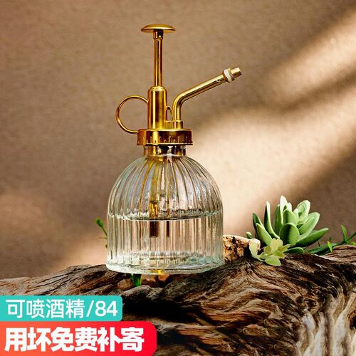 蓬壶水壶浇c花高颜值复古玻璃小喷壶气压式消毒清洁洒家用园艺壶
