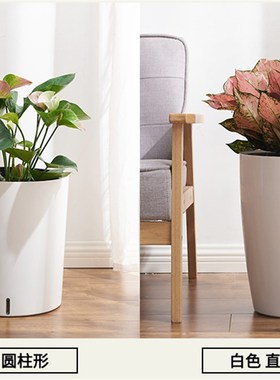 网红白色塑料懒人花盆p自动吸水储水树脂加厚耐用幸福树客厅大绿