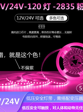 LED12Ve/24V超亮粉色灯带24V户外防水粉红色灯带12V自粘线形灯带