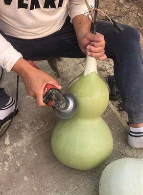 葫芦去皮钢丝刷碗形不锈钢丝碗型除锈刷大葫芦打皮去皮钢丝轮