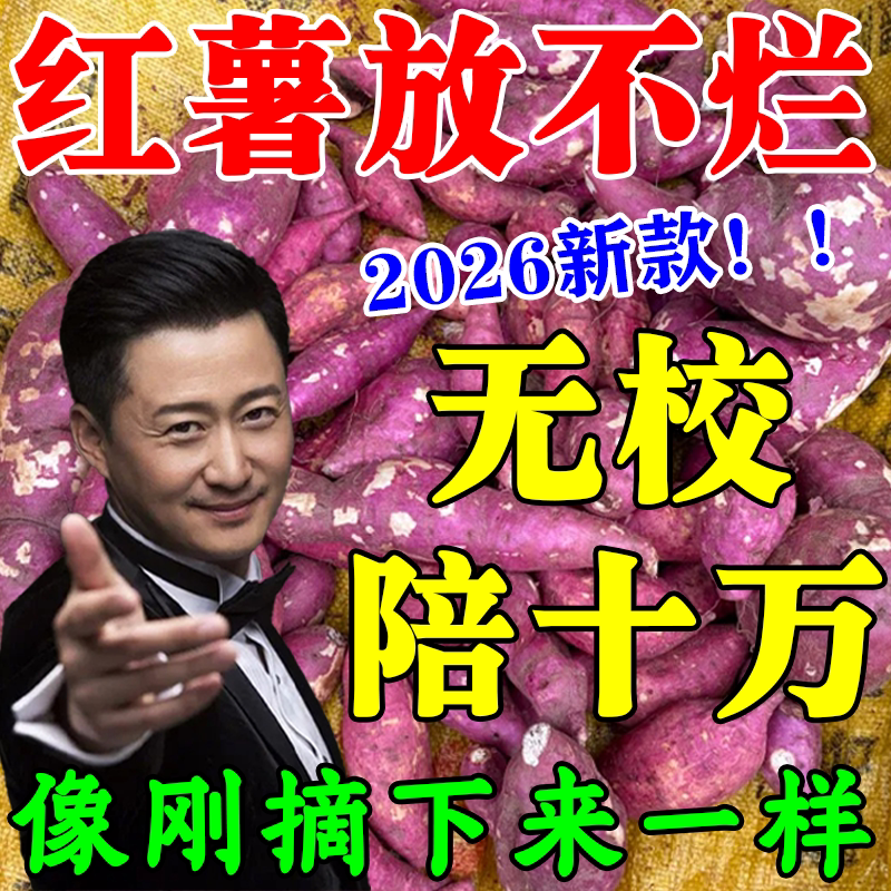 红薯保鲜剂地瓜红薯防腐烂黑斑发芽抗病菌红薯延长储存时间专用液