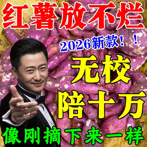 红薯保鲜剂地瓜红薯防腐烂黑斑发芽抗病菌红薯延长储存时间专用液