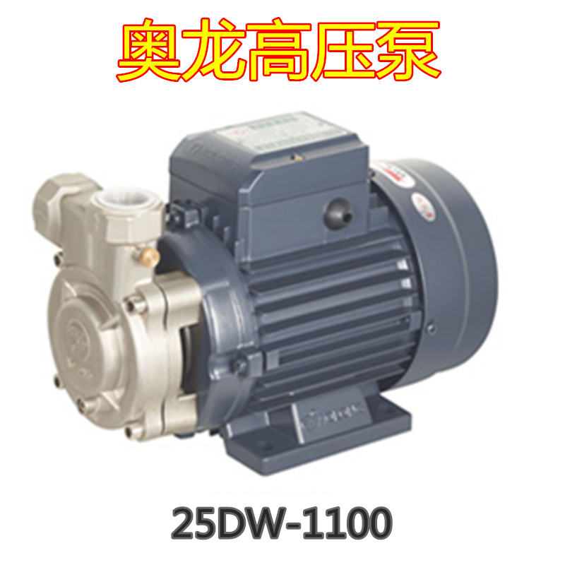 高压泵25dw-1100生物质锅