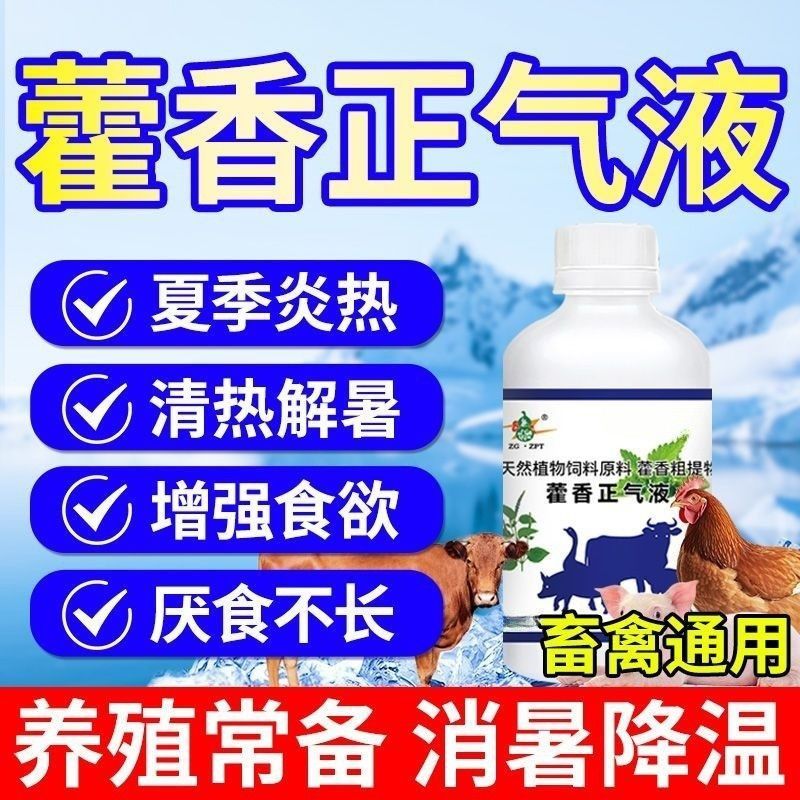 藿香正气液鸡鸭鹅解暑降温兽用畜禽猪牛羊防中暑抗热应激养殖