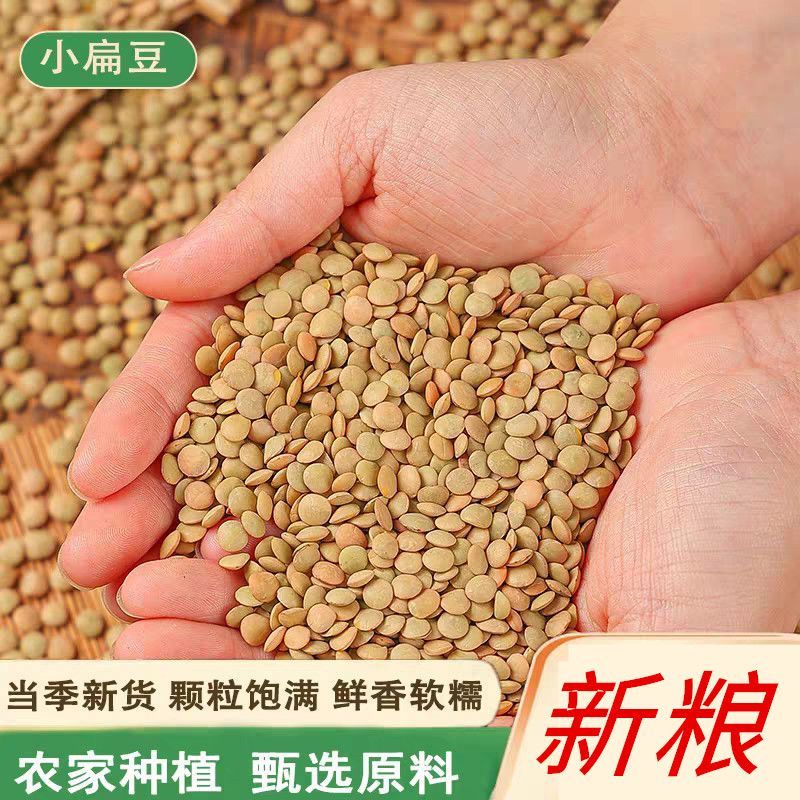新优质小扁豆农家自种扁豆可发芽做凉粉熬粥五谷杂粮颗粒饱满