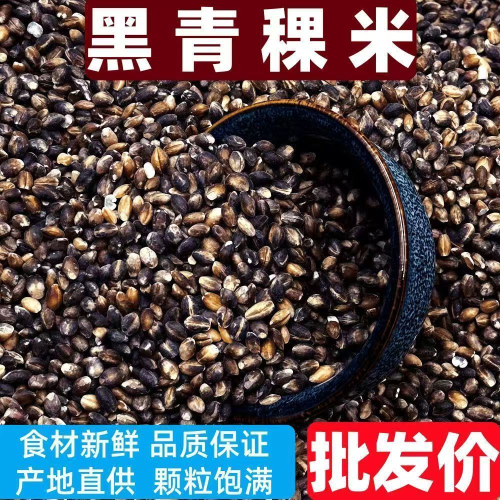 特价正宗黑青稞米优选粗粮青稞米降价现货五谷杂粮健康杂粮