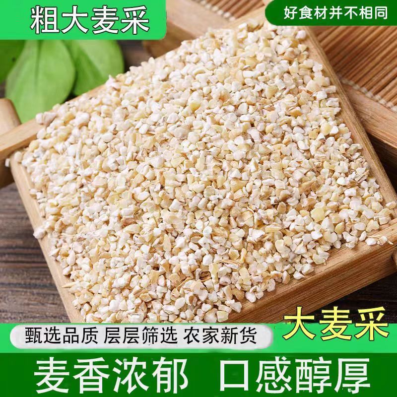 正宗颗粒均匀新鲜大麦彩子大麦颗粒干净无杂煮粥大麦彩子