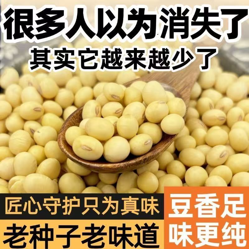 农家土黄豆农家自种椭圆形老品种土黄豆打豆浆豆腐批发价