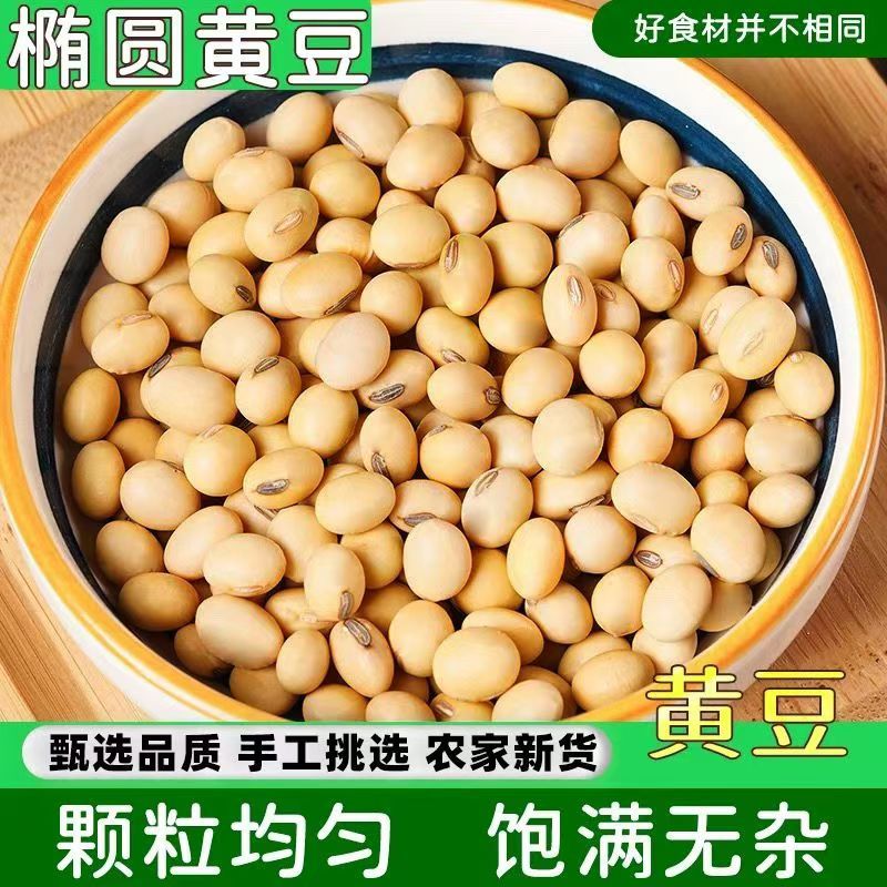 【特价】椭圆黄豆农家豆浆专用发豆芽新鲜家用批发土黄豆手工挑选