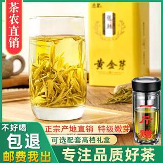正宗黄金芽茶叶2023年新茶安吉春茶特级白茶绿茶250g礼盒装黄金茶