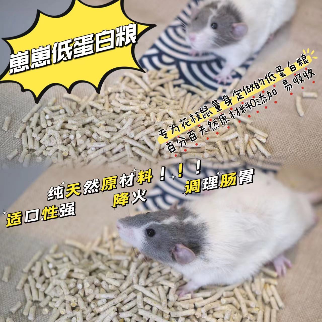 低蛋白花枝鼠鼠粮易吸收