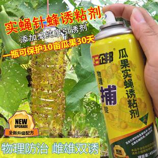 瓜果实蝇针蜂诱粘剂  果蝇昆虫诱黏 果园针蜂诱捕剂 引诱剂诱捕器