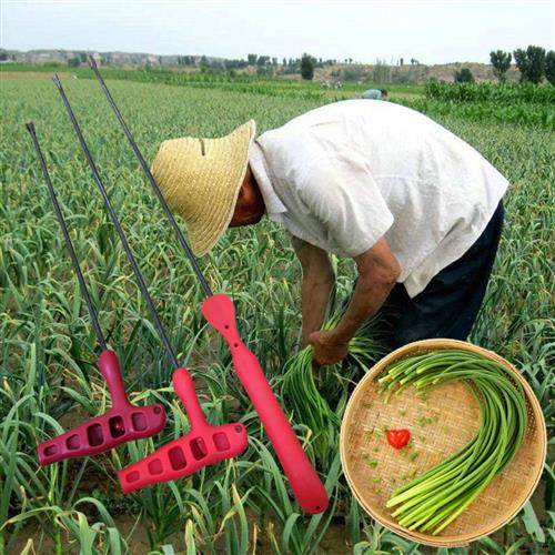 抽蒜苔神器剥蒜苔工具蒜苔刀蒜薹收割刀抽蒜器划蒜苔收割刀蒜薹刀,五金/工具,其它工具,淘宝优惠券,粉丝福利购,淘宝优惠卷