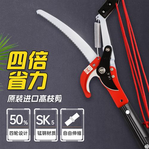 剪树枝专用剪刀高枝剪高空修剪锯树神器果树修枝剪园艺伸缩加长剪