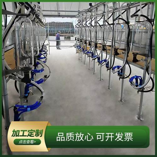 并列式挤奶厅 鱼骨式并列快放自动脱奶杯挤奶设备 牛羊用挤奶厅