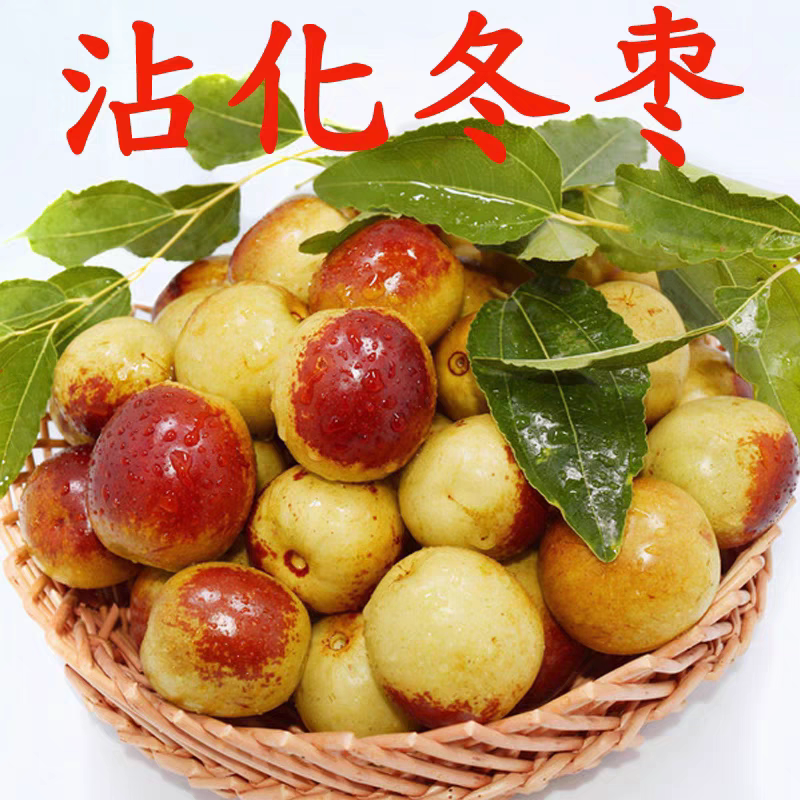 山东沾化冬枣脆甜现摘特大果