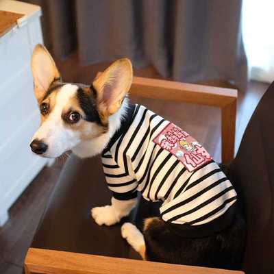 柯基犬狗狗衣服春秋薄款柴犬腊肠犬小型犬中型犬宠物条纹潮流卫衣