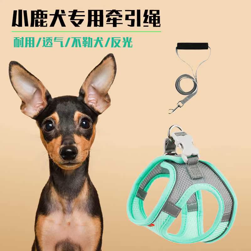 小鹿犬专用牵引绳不勒狗夜光边透气结实背心式狗绳小型犬狗狗用品-封面