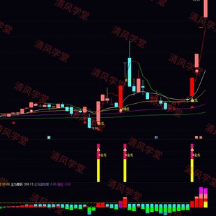 机构主力控盘指标主力吸筹建仓指标短线妖龙主升浪通达信低位建仓