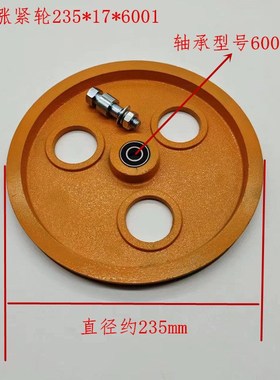 适用于奥的斯235*16*6001限速器涨紧轮装置A9669A大黄轮带轴承新