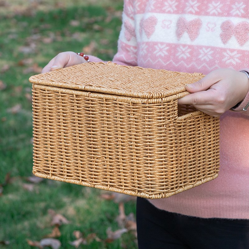 大号欧式收纳箱卧室带盖衣物整理箱仿藤编织户外收纳筐.衣柜储物