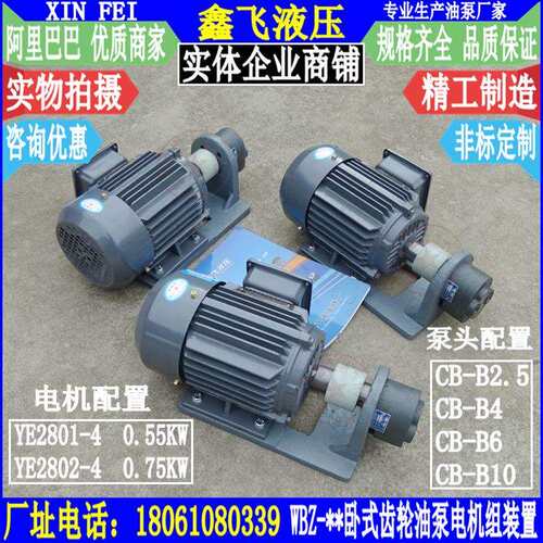 WBZ-2.5 WBZ-4 WBZ-6 WBZ-10卧式齿轮油泵电机组YE2 801-4 0.55KW