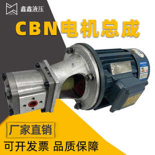 1.5KW2.2KW液压泵总成内轴电机液压站配件系统 液压油泵电机组CBN