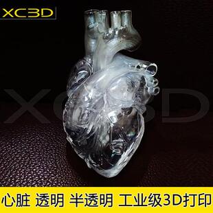 3d打印透明水晶心脏模型左心房右心脏肝脏肾脏胃部子宫医学定制