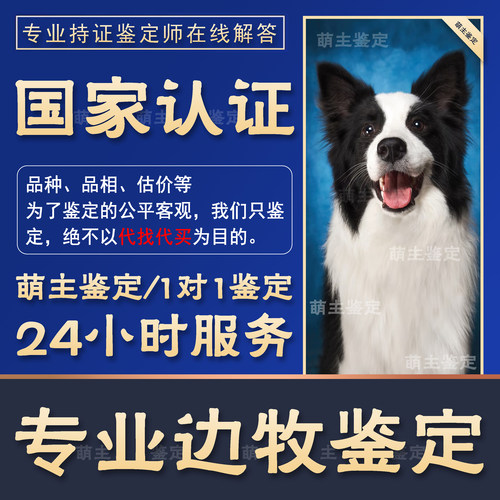 1对1鉴定24H在线鉴定猫狗超准