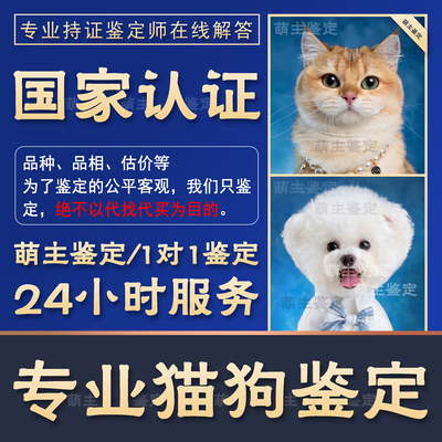 1对1鉴定24H在线鉴定猫狗超准