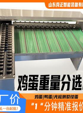 定制级蛋品分选机 鸭蛋重量鸡蛋分选设备 蛋视检觉裂纹电测子分机