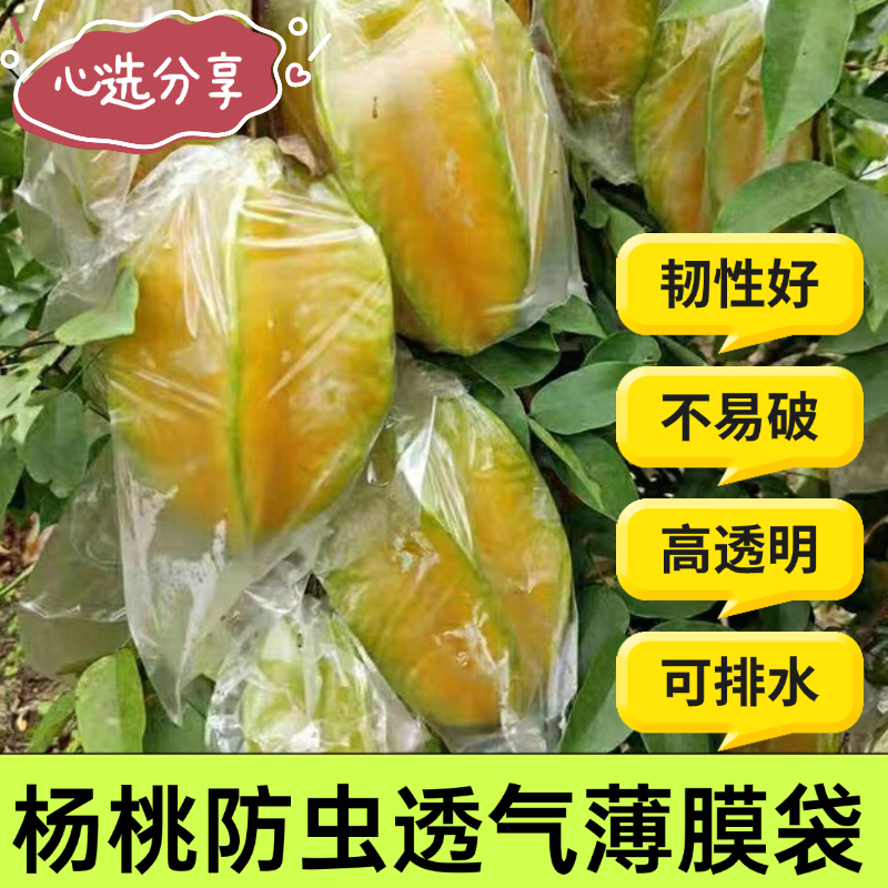 杨桃套袋 杨桃防虫专用袋 水果套袋促生长透明保护薄膜袋 杨桃袋