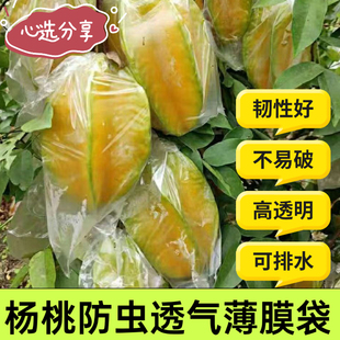 水果套袋促生长透明保护薄膜袋 杨桃袋 杨桃防虫专用袋 杨桃套袋